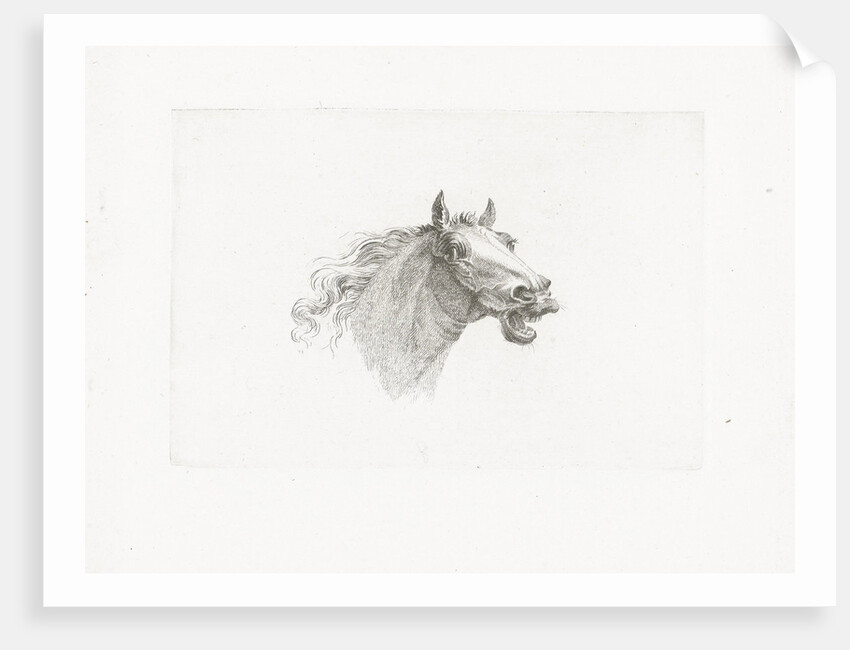 Horse head with open mouth, right by Gerrit Malleyn