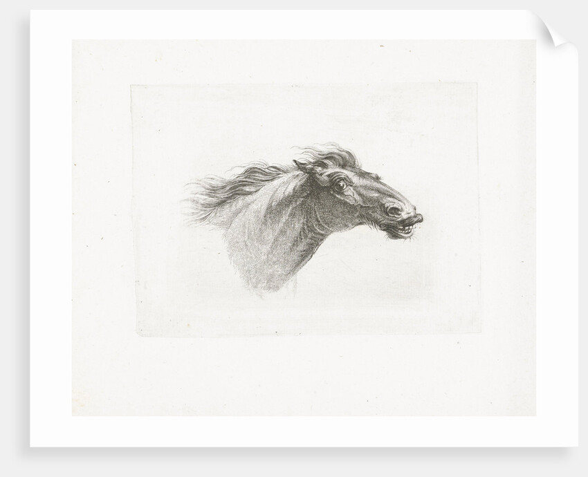 Horse head by Gerrit Malleyn