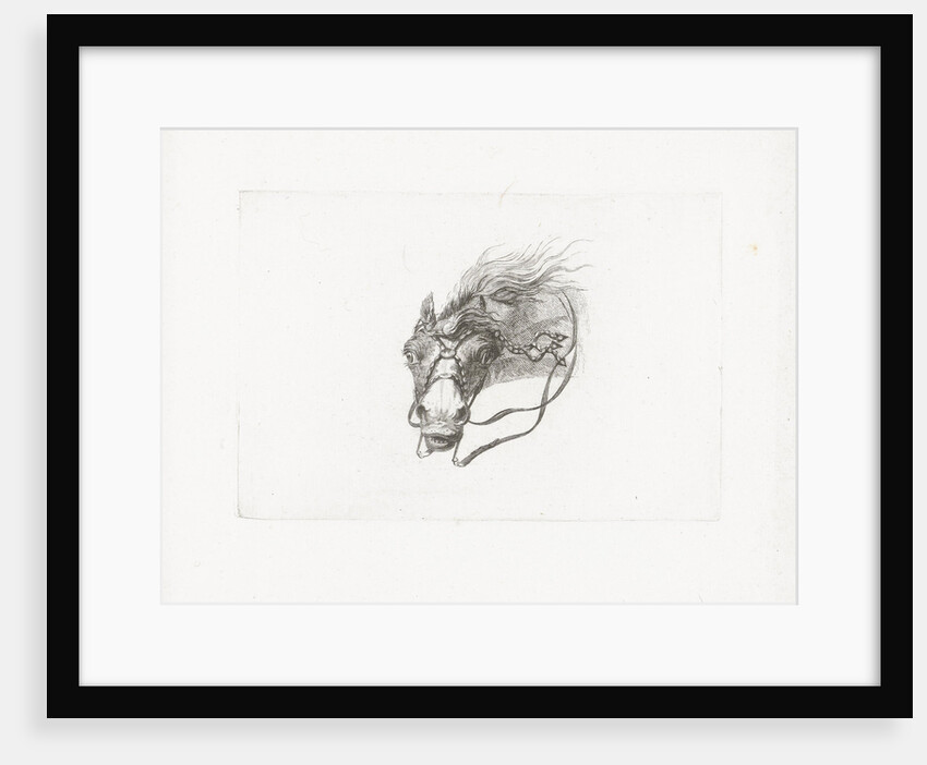 Horse head with flowing mane by Gerrit Malleyn