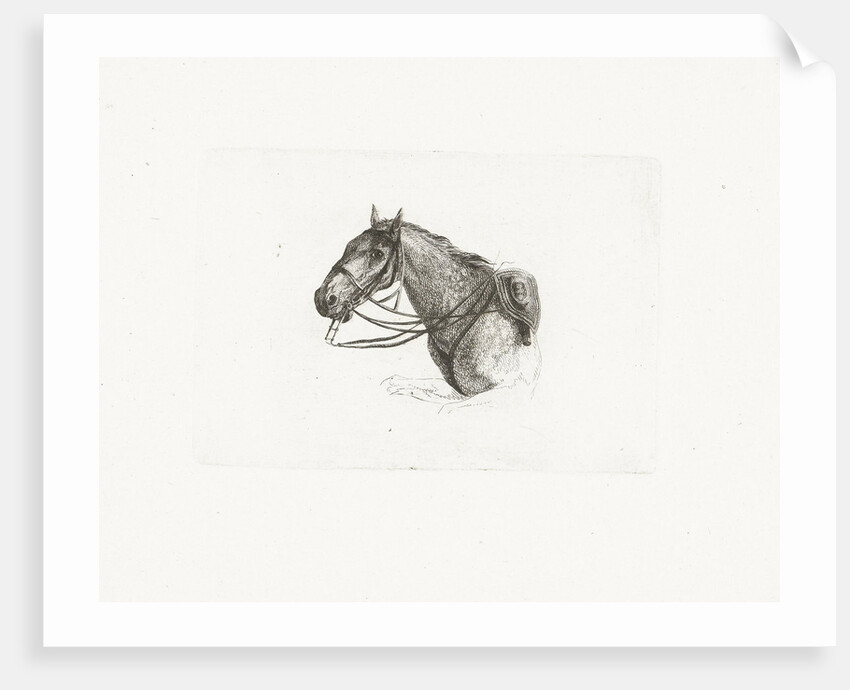 Horse Head, left by Dirk Langendijk