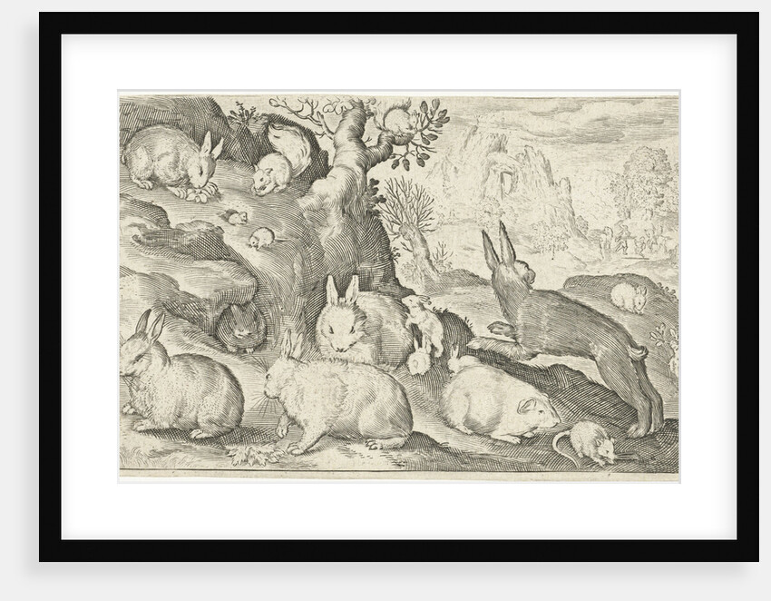 rabbits, squirrel, guinea pig and mouse by Nicolaes de Bruyn