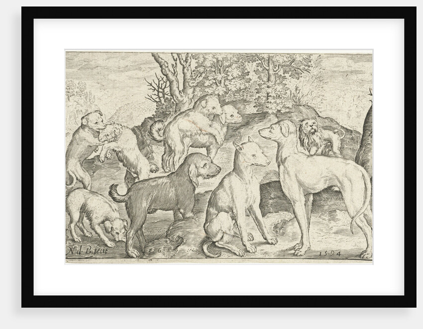 Nine dogs by Nicolaes de Bruyn