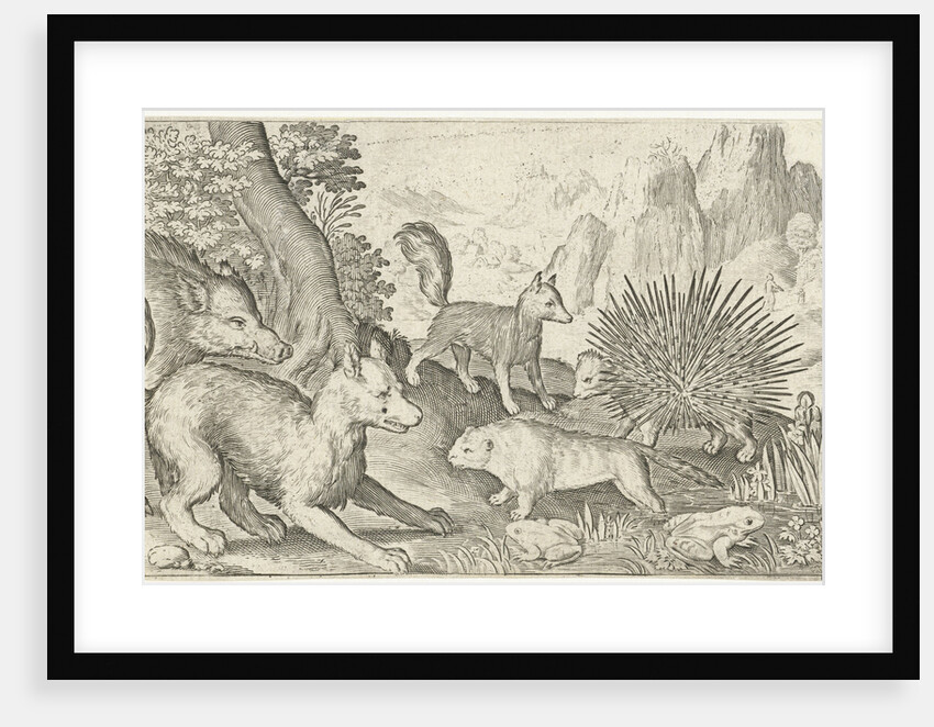 Wild boar, fox, beaver, porcupine and frogs by Nicolaes de Bruyn