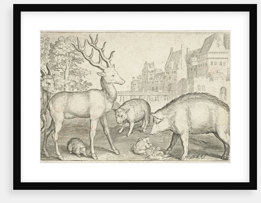Hart, hedgehog, sheep, pig and frog by Nicolaes de Bruyn