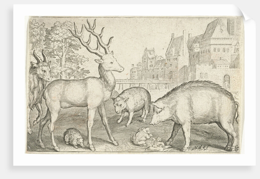 Hart, hedgehog, sheep, pig and frog by Nicolaes de Bruyn