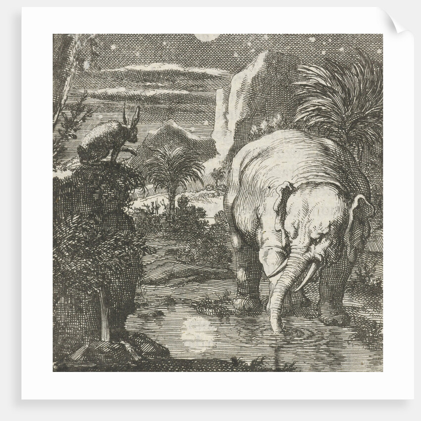 Hare and elephant with a full moon near a spring by Aart Wolsgrein