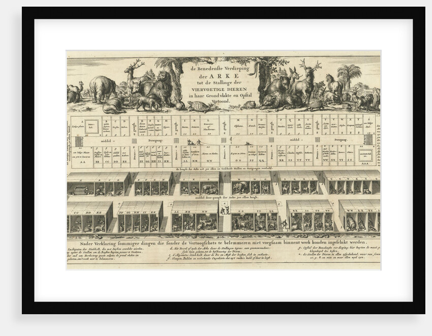 Bottom floor of Noah's Ark by Wilhelmus Goeree I