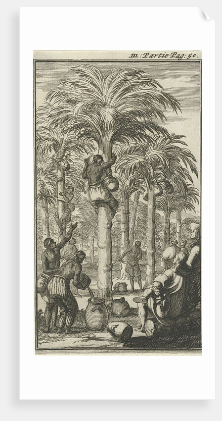 Obtaining palm wine in India by Charles Angot