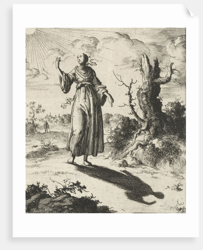 Female beholds her own shadow by Pieter Arentsz II