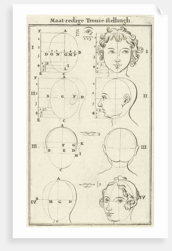 Eight heads, labeled I-IV by Willem Goeree
