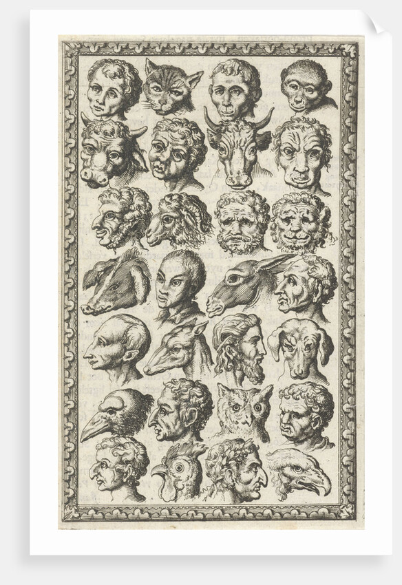 28 cups of humans and animals by Willem Goeree