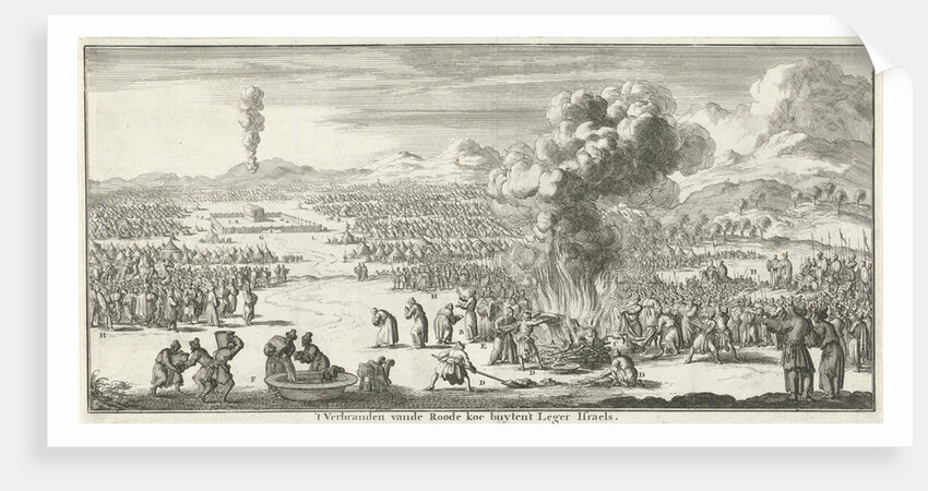 sacrifice of the red heifer by Willem Goeree