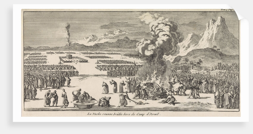 Sacrifice of the red young cow by Pieter Mortier