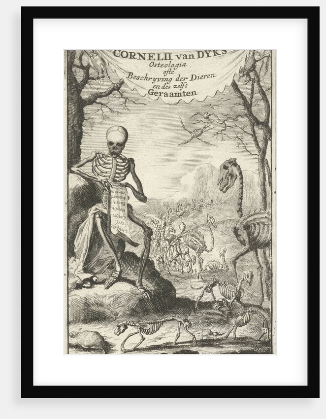 Human skeleton reads a list of animal names by Jan Claesz ten Hoorn