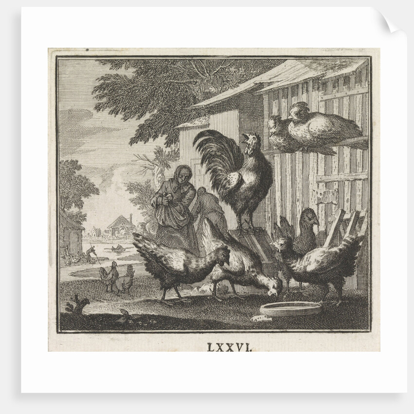 Emblem: Chicken by Christoph Weigel