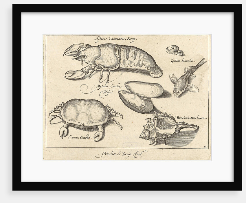 Lobster, crab and shells by Francoys van Beusekom