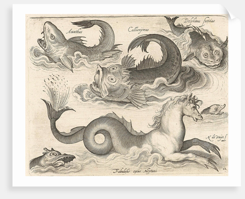 Fantastic invertebrates, including a seahorse by Nicolaes de Bruyn