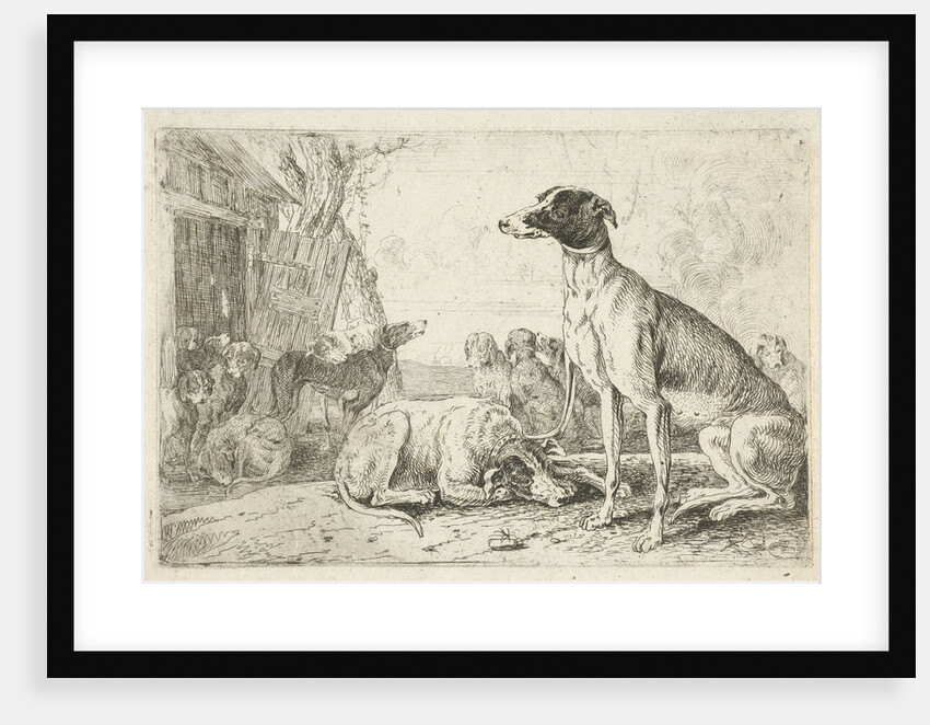 Dog kennel by Jan van den Hecke I