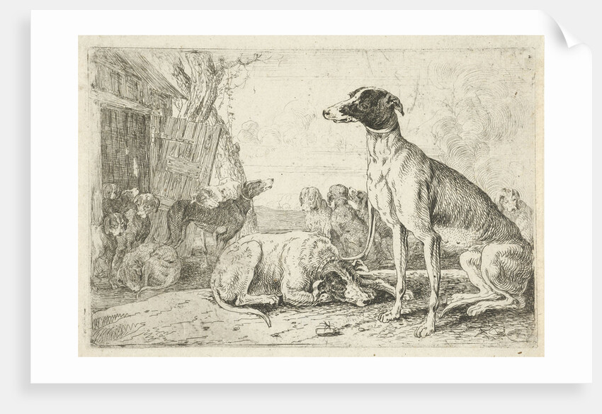 Dog kennel by Jan van den Hecke I