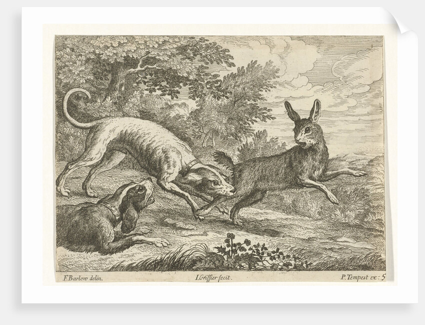 Hunting a hare by Pierce Tempest