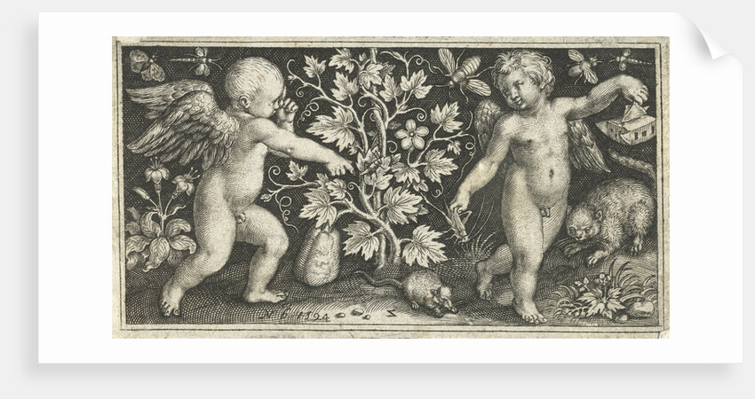 Two angels on either side of squash, pumpkin, or gourd by Nicolaes de Bruyn