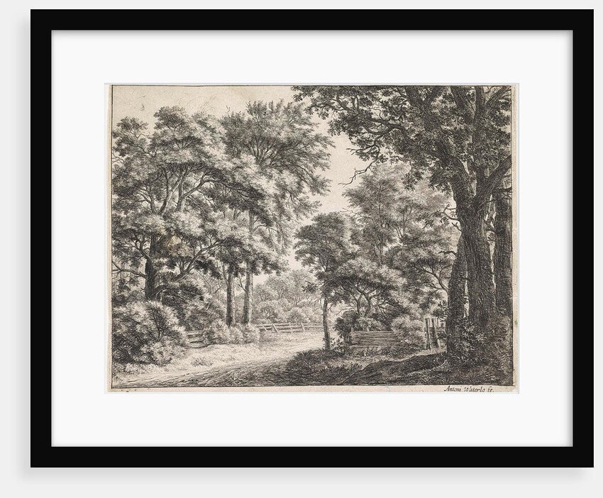 Large trees on either side of a path by Anthonie Waterloo