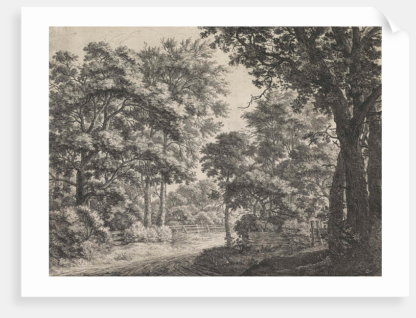 Large trees on either side of a path by Anthonie Waterloo
