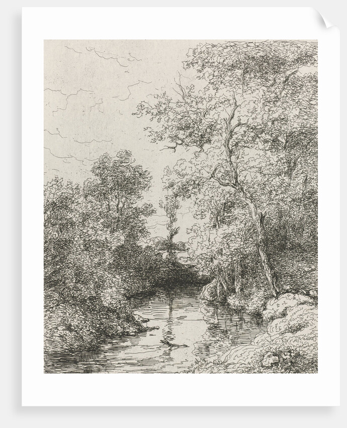 Creek by Willem Roelofs I