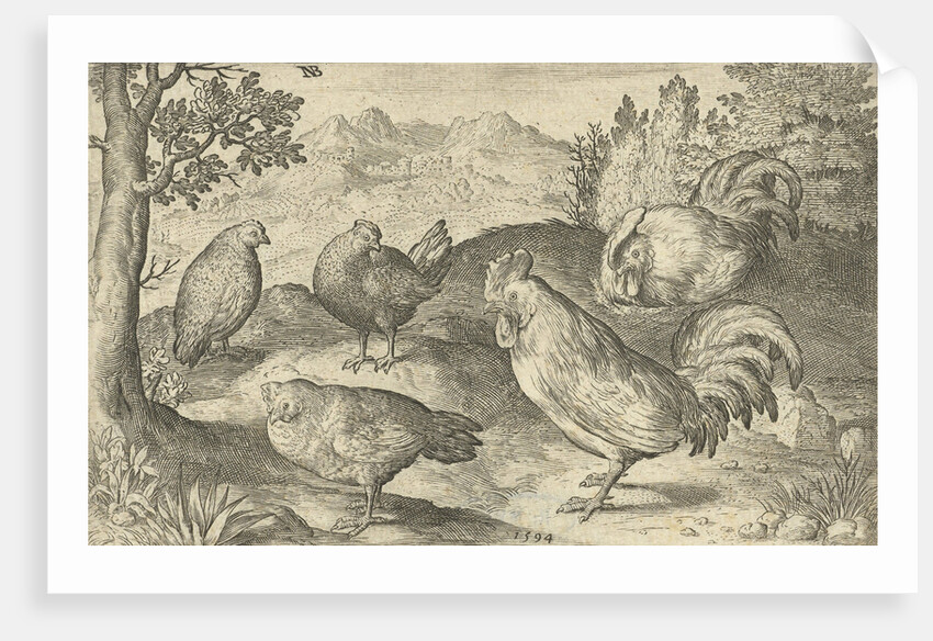 Three hens and two roosters by Nicolaes de Bruyn
