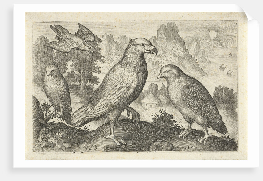 Eagle and other birds of prey by Nicolaes de Bruyn