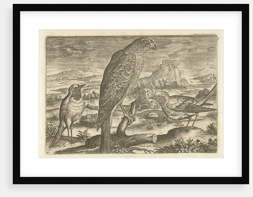 Some birds in a landscape by Adriaen Collaert