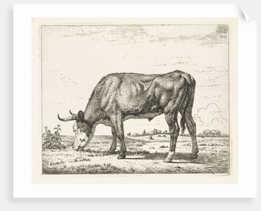 Grazing cow by Wouter Johannes van Troostwijk