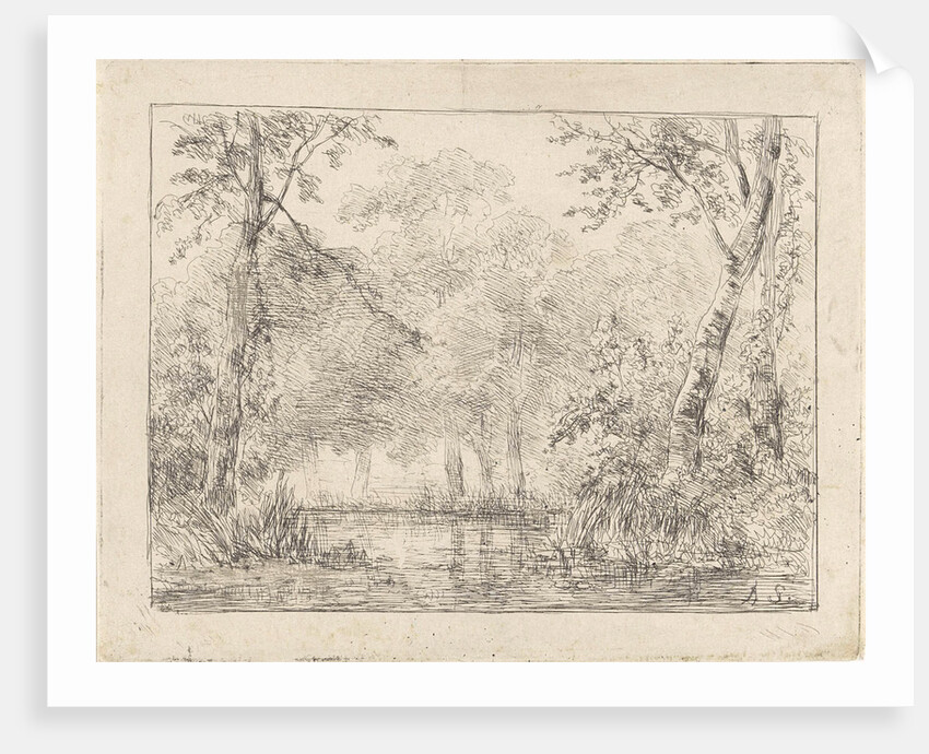 Forest scene with pond by Andreas Schelfhout