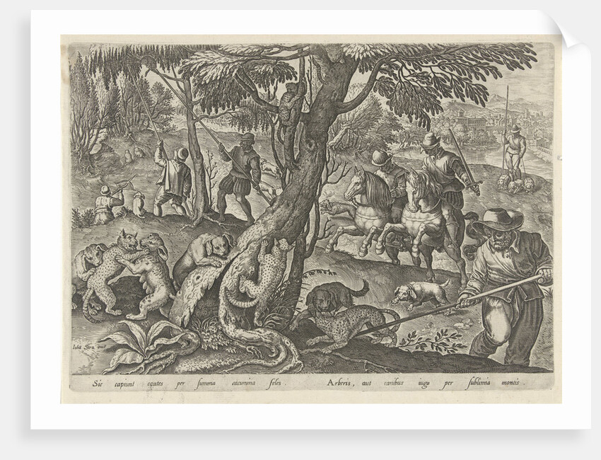 Hunting wild cats by Philips Galle