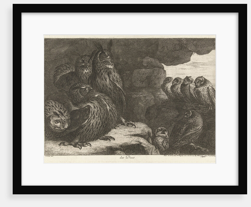 Owls in a cave by Lodewijk XIV