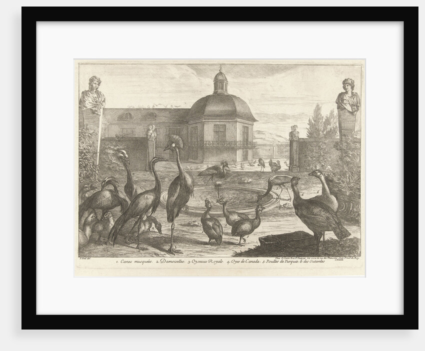 Birds by Lodewijk XIV