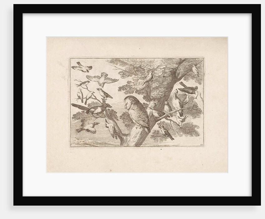 Owl and other birds in a tree by Pieter Schenk I