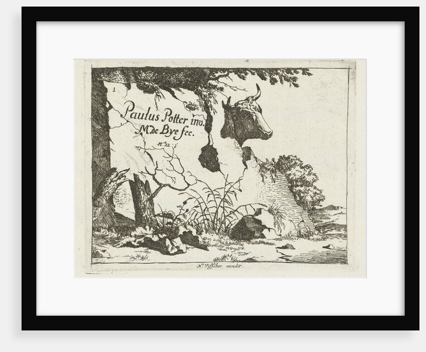 Cup of an ox behind a rock by Nicolaes Visscher I