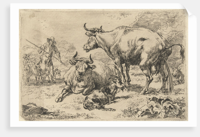 Reclining and a urinating cow by Nicolaes Pietersz. Berchem