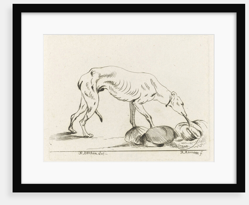 Eating dog by D. Merrem