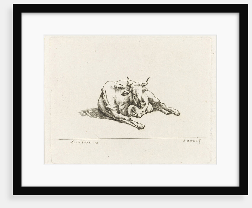 Lying cow by D. Merrem