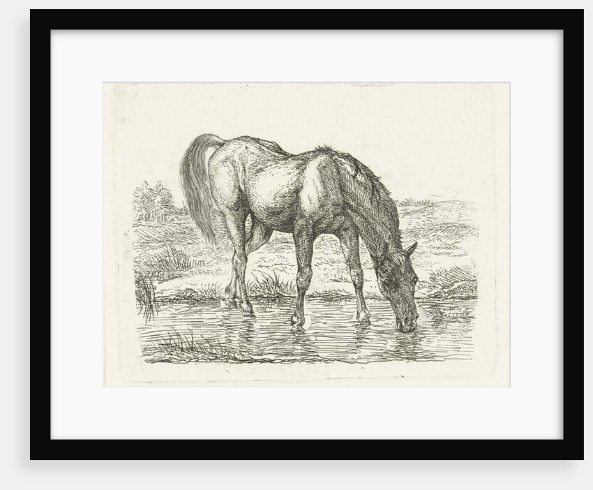 Drinking horse by Jan Dasveldt