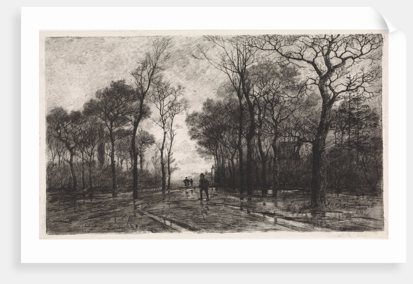 Three people on a road lined with trees by Elias Stark