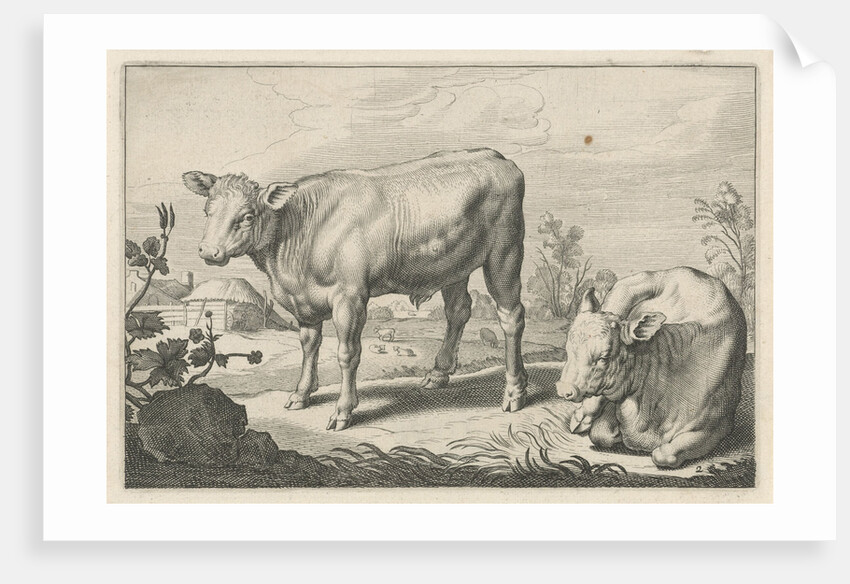 Pasture with two bulls by Nicolaes Visscher I