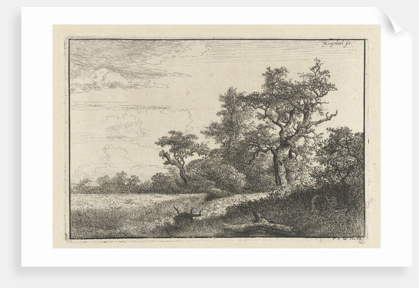 The cornfield by Jacob Isaacksz. van Ruisdael