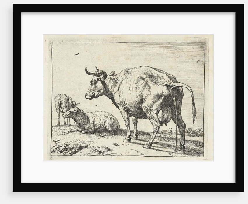 A cow by Paulus Potter