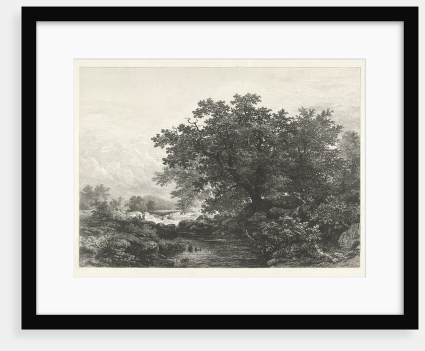 Bakony forest, Transdanubian Mountains, Hungary by Remigius Adrianus Haanen