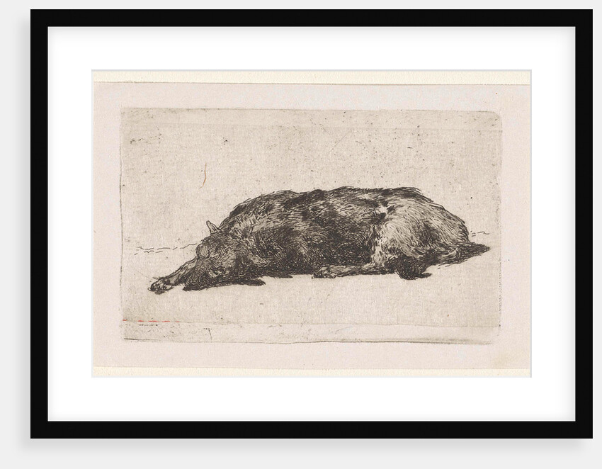 Sleeping dog by Jan Weissenbruch