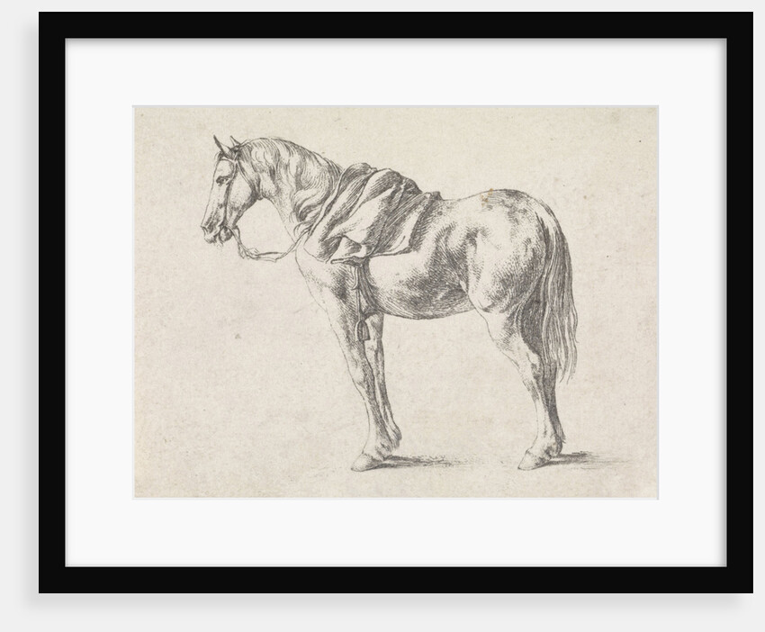 Saddled horse by Philips Wouwerman