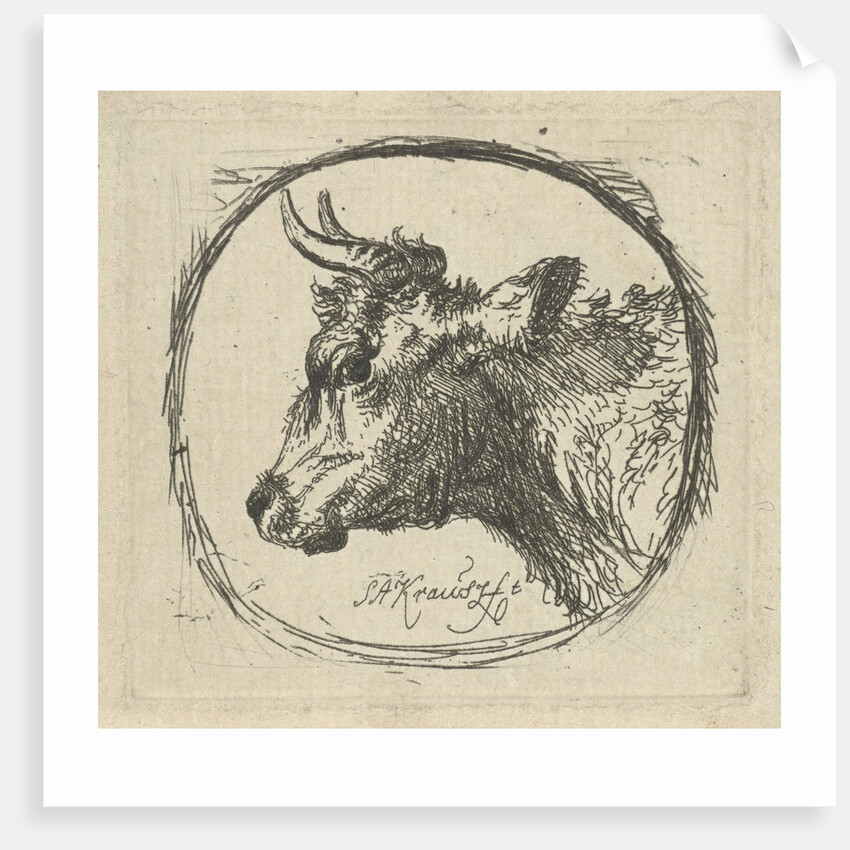 Cow's head in profile to the left by Simon Andreas Krausz